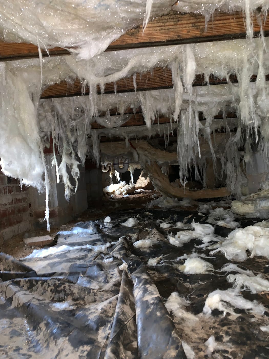 Burst Pipe Cleanup: restoration work in progress